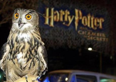 Harry Potter fans decimating India's owls