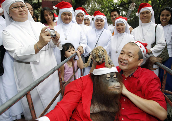 Animal Christmas party in the Philippines