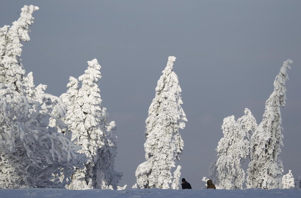 Winter wonderland snarls Europe's traffic