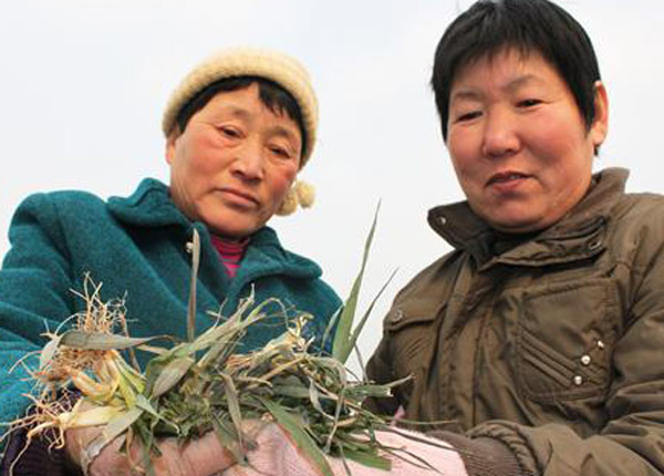 No relief in sight as drought hits north