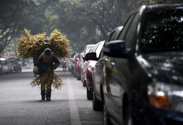 Selling wintersweet to holiday buyers