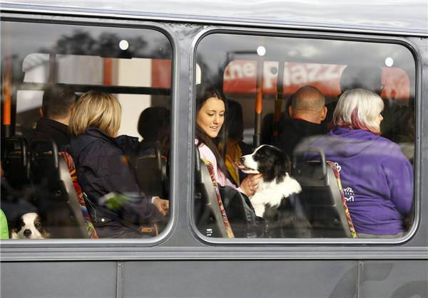 Crufts dog show kicks off in Birmingham, England