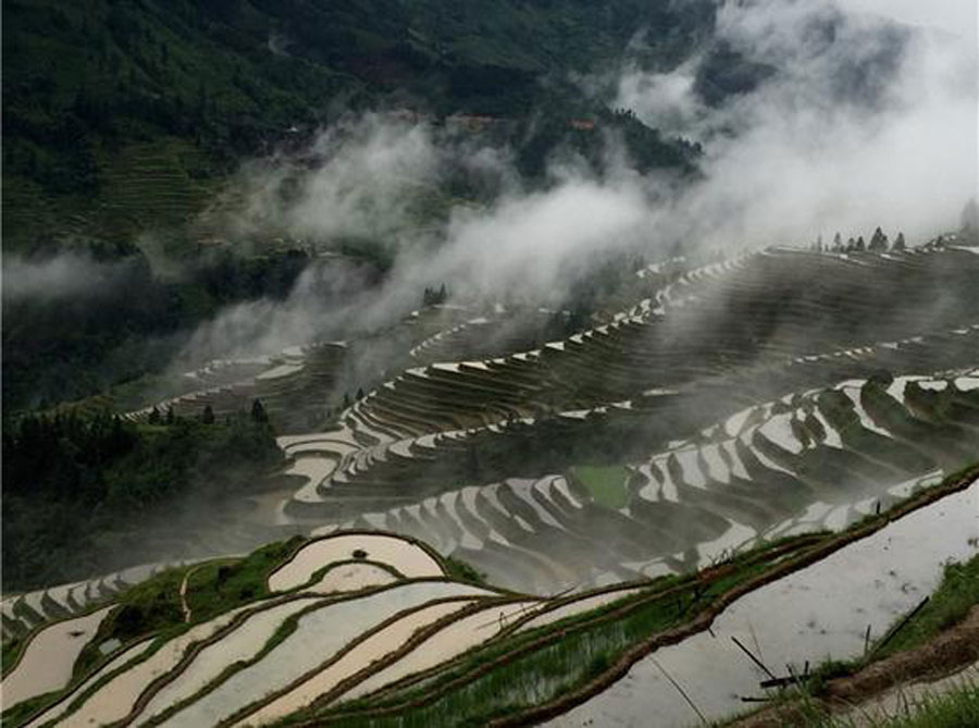 Amazing China photos on the way to London