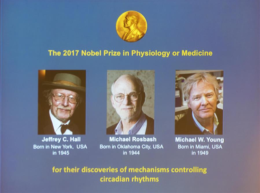 US biology trio share Nobel Prize