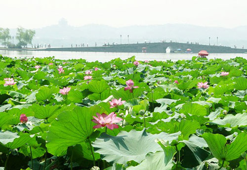 Foreigners pick their favorite Chinese cities