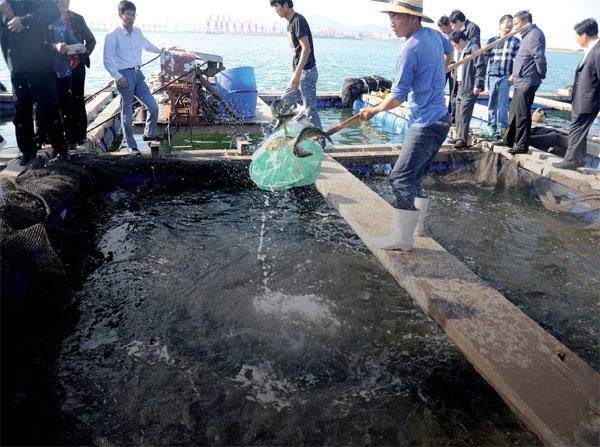 Reef relief for marine ecosystems