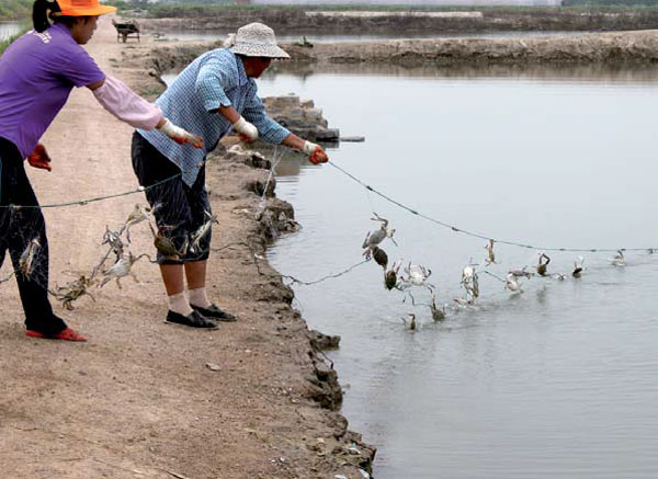 Reef relief for marine ecosystems