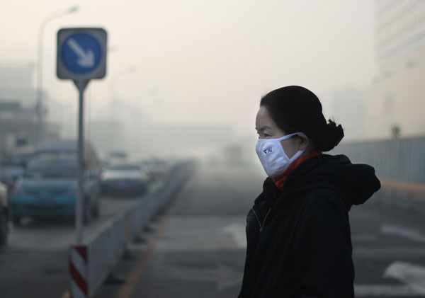 Thick smog grounds flights and fouls air