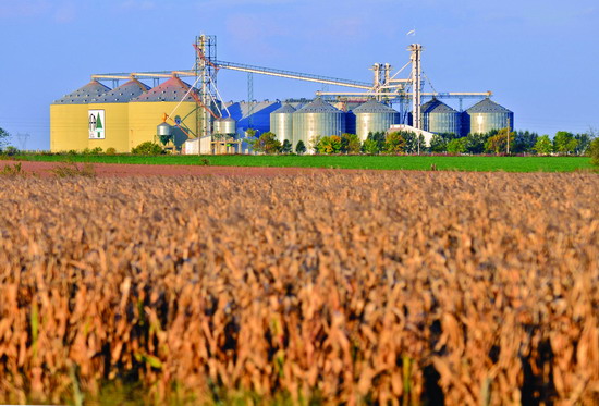 China may begin importing Argentina corn
