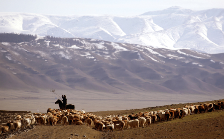 Herders hope for greener pastures with new schedule