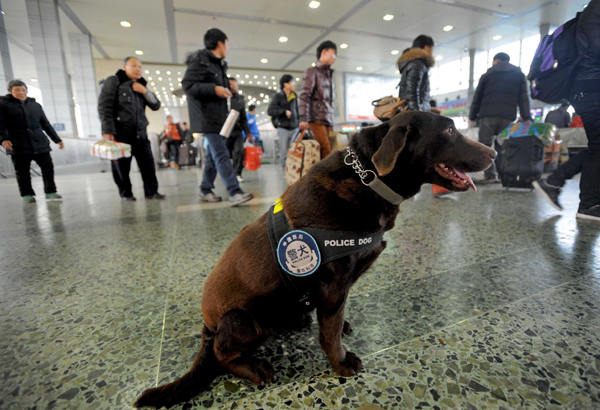 Police dog on duty during travel rush