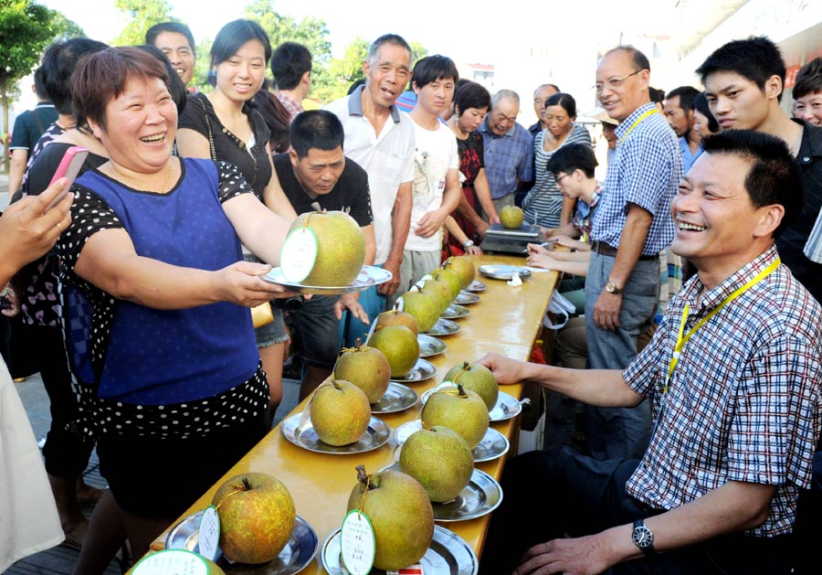 Fruit contest