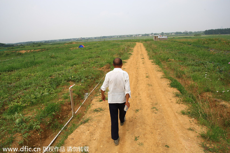 World's 'tallest' tower a watermelon field