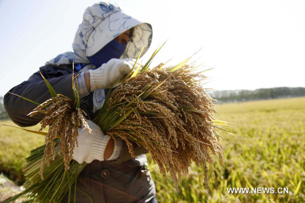 China to speed up agri modernization through reforms, innovations