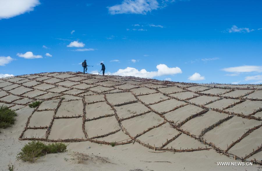 Govt Carries out conservation program in Tibet