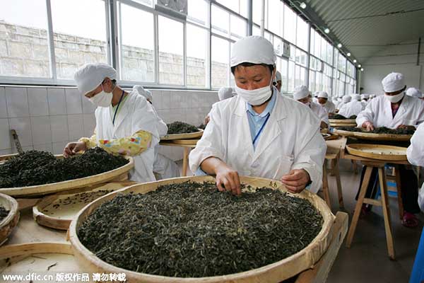 Chinese tea aims to go global on Belt and Road Initiative