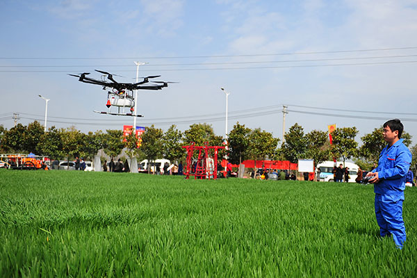 Seeds of success planted online