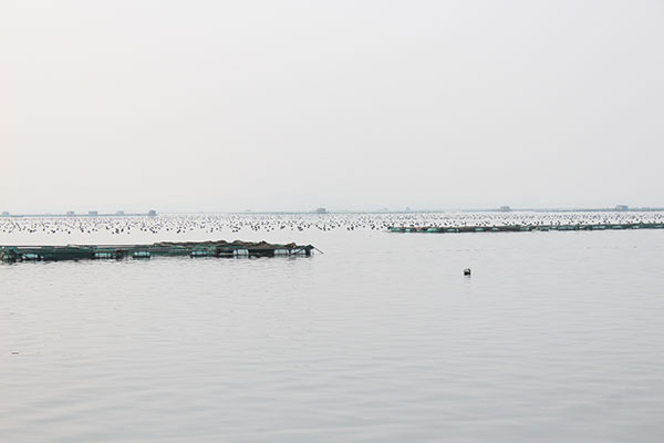 Shandong weaves e-commerce into ocean economy