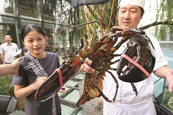 More American lobster makes its way to Chinese dining tables