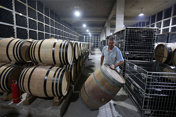Wine region in Ningxia developing global fame