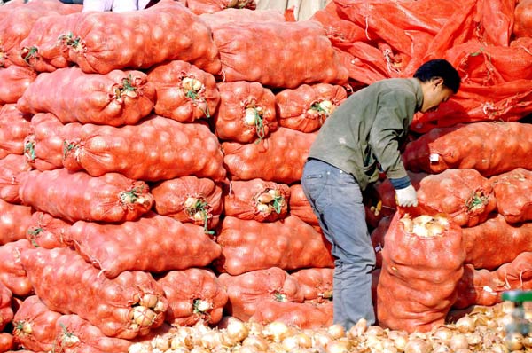 China vegetable prices slightly lower: report