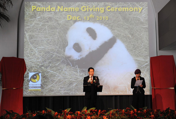 Austria-born panda cub officially named Fu Hu