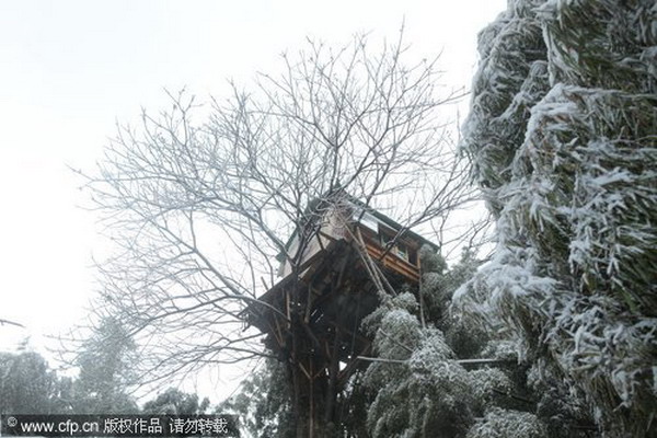 Old man builds tree house in Central China