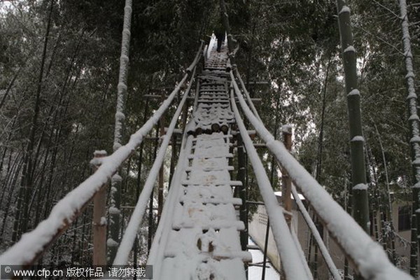 Old man builds tree house in Central China