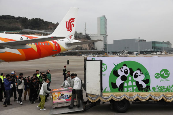 'Happy' pandas arrive in Macao for 10th anniversary