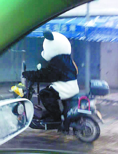 There's SNOW way that's a biking panda