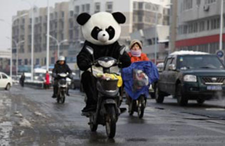 There's SNOW way that's a biking panda