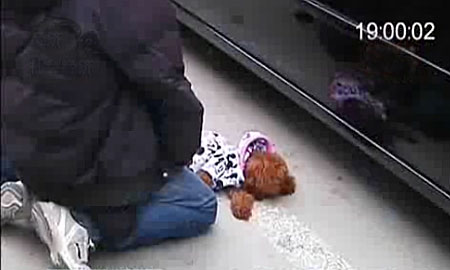 Van drivers forced to kneel with dead dog