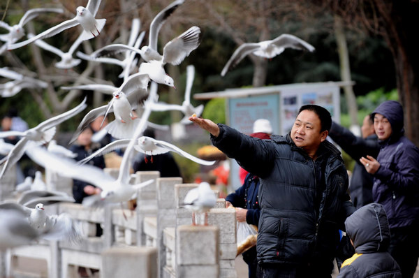 Cold wave hits S China's spring city