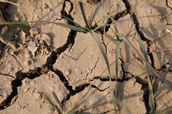 Drought affecting more than 2 mln people in China
