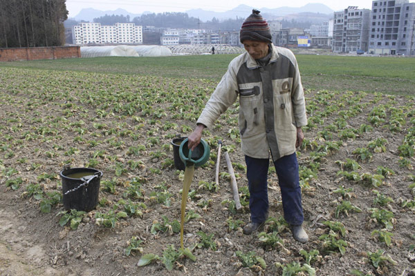 Chinese farmers battle against drought