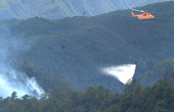 Forest fire put out in SW China