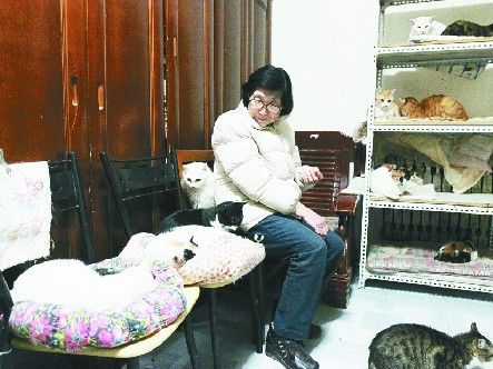 Gran feeds street cats for 24 years