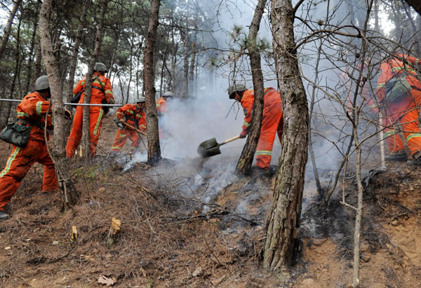 forest,fire,China Forest fire in E China extinguished