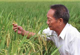Party profiles: Agriculturalist Yuan Longping