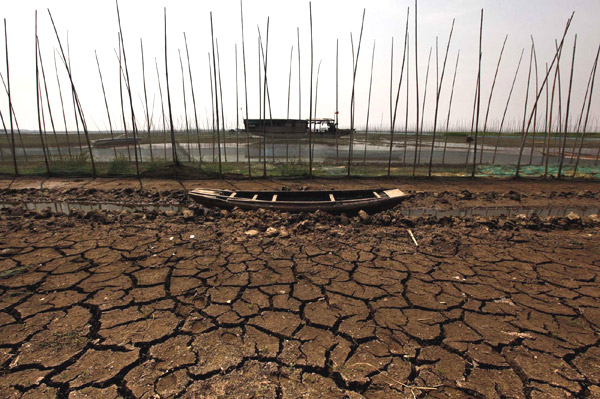 Yangtze drought affects 5% of China's farmland