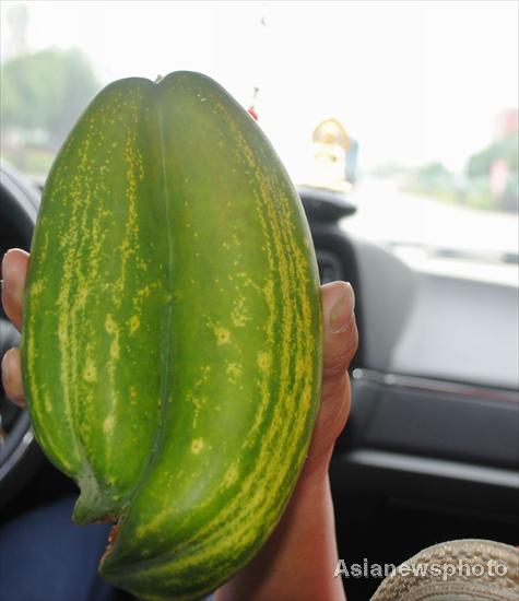 Wacky cucumber turns heads in E China