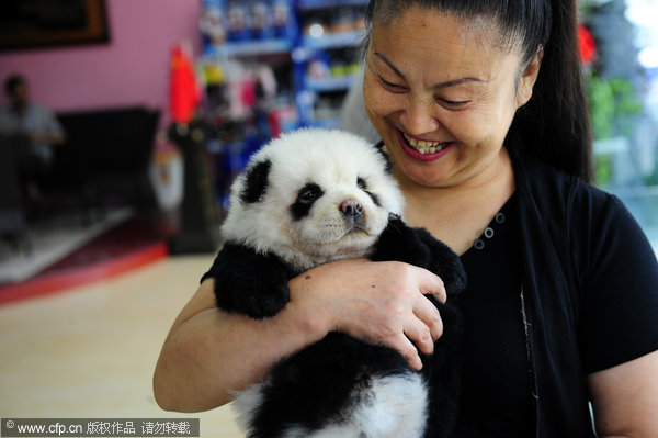 Don't call me panda