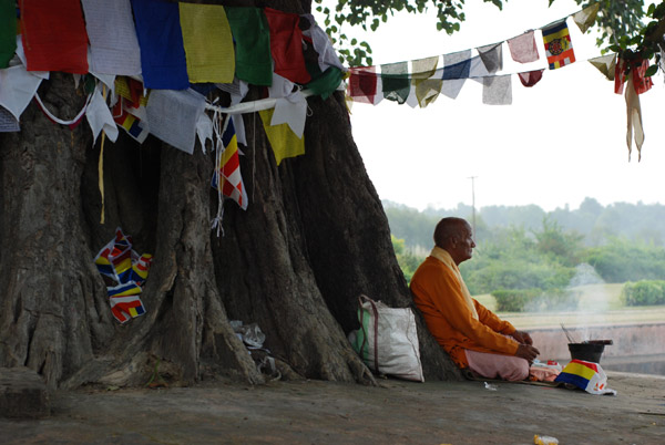 Foundation, UN to transform Buddha site