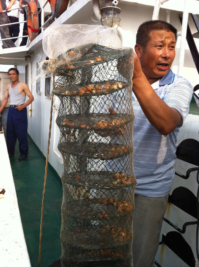 Deadline for oil leak clean up