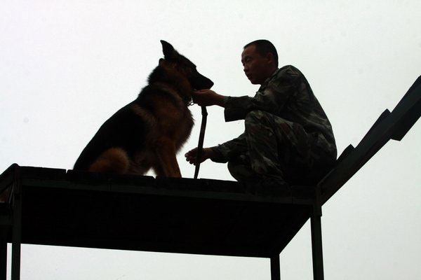 A Mid-Autumn spent with canine companions