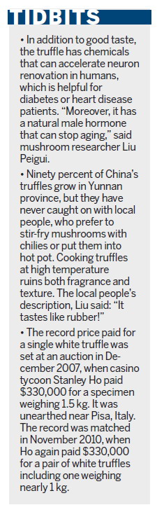 Threat to truffles leaves a bad taste