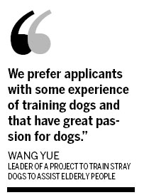 Stray dogs to be trained to help people