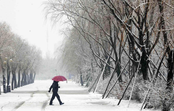 Snow blocks roads, delays flights in NE China