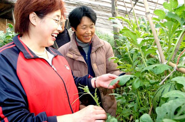 Planting the seeds of success in countryside