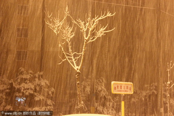 Spring snow blankets Beijing